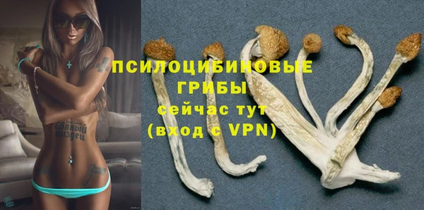 ПСИЛОЦИБИНОВЫЕ ГРИБЫ Баксан
