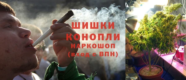 ПСИЛОЦИБИНОВЫЕ ГРИБЫ Баксан