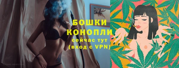 ПСИЛОЦИБИНОВЫЕ ГРИБЫ Баксан