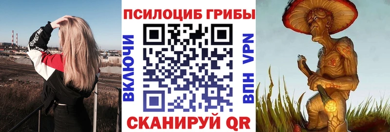 где можно купить Костомукша Галлюциногенные грибы мухоморы